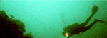 diver